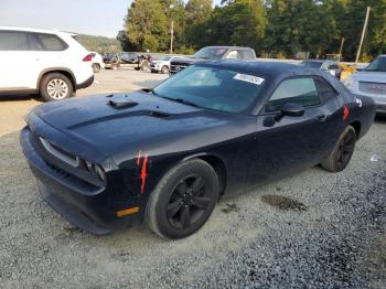  Salvage Dodge Challenger