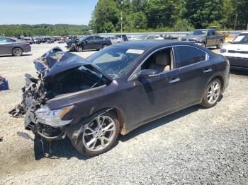  Salvage Nissan Maxima