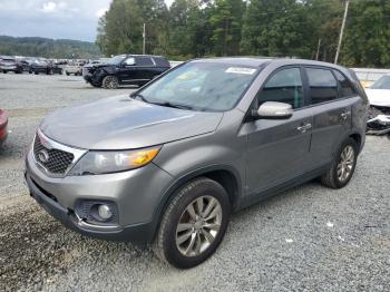  Salvage Kia Sorento