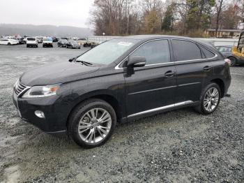  Salvage Lexus RX