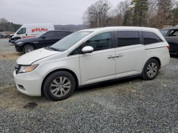  Salvage Honda Odyssey