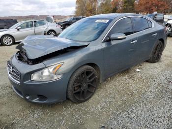  Salvage Nissan Maxima