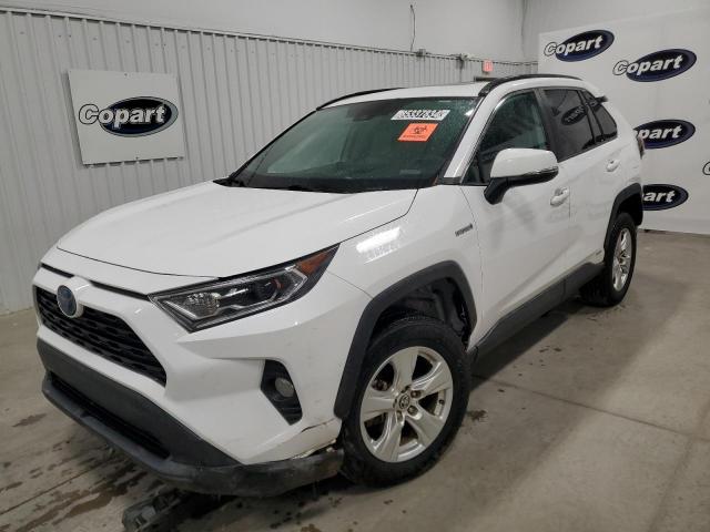  Salvage Toyota RAV4