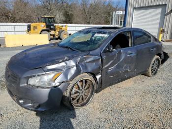  Salvage Nissan Maxima