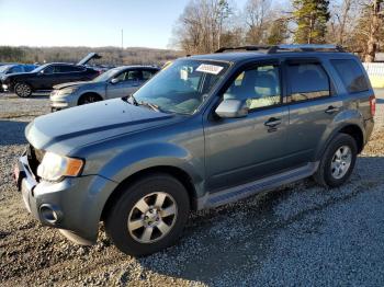  Salvage Ford Escape