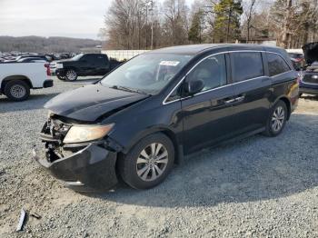  Salvage Honda Odyssey