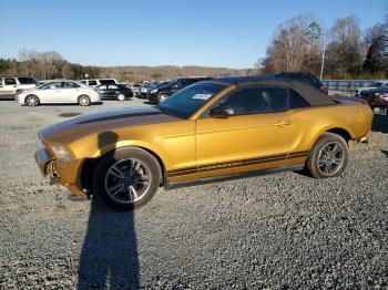 Salvage Ford Mustang