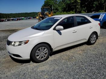  Salvage Kia Forte