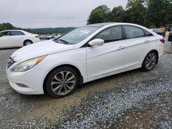  Salvage Hyundai SONATA