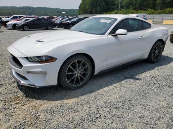  Salvage Ford Mustang