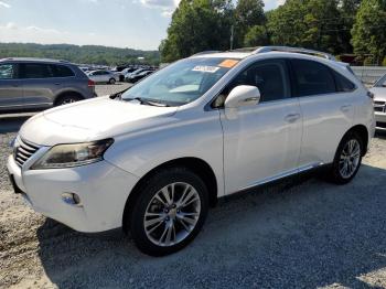  Salvage Lexus RX