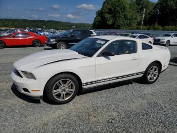  Salvage Ford Mustang