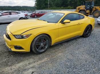  Salvage Ford Mustang