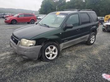  Salvage Ford Escape