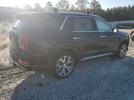 Hyundai PALISADE Sel Image 8