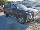 Hyundai PALISADE Sel Image 7