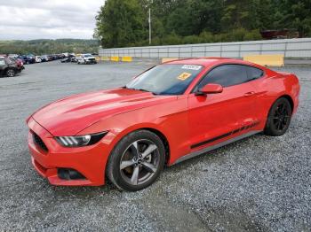  Salvage Ford Mustang