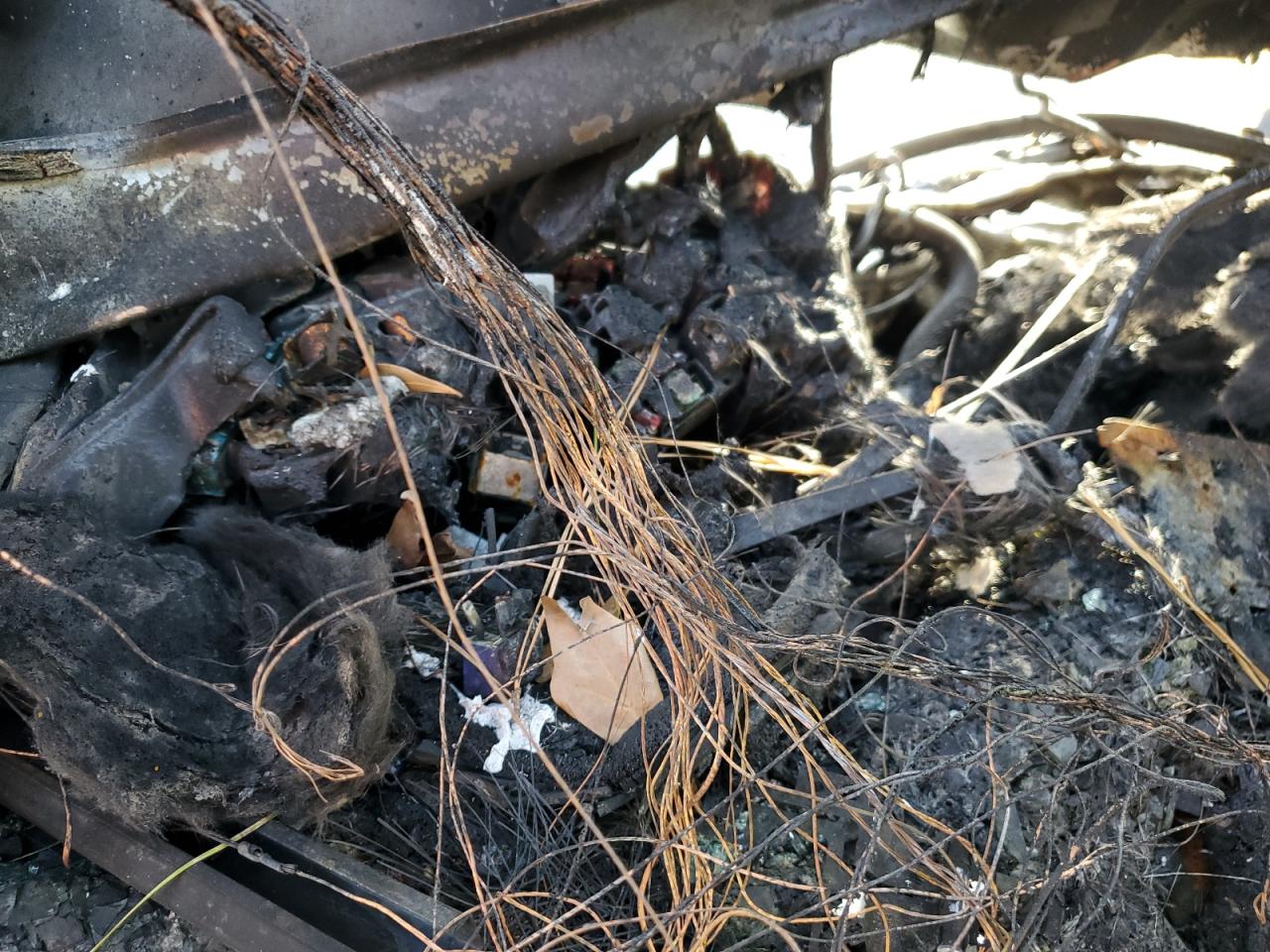 Toyota Tacoma Double Cab Image 11