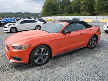  Salvage Ford Mustang