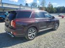 Hyundai PALISADE Limited Image 4