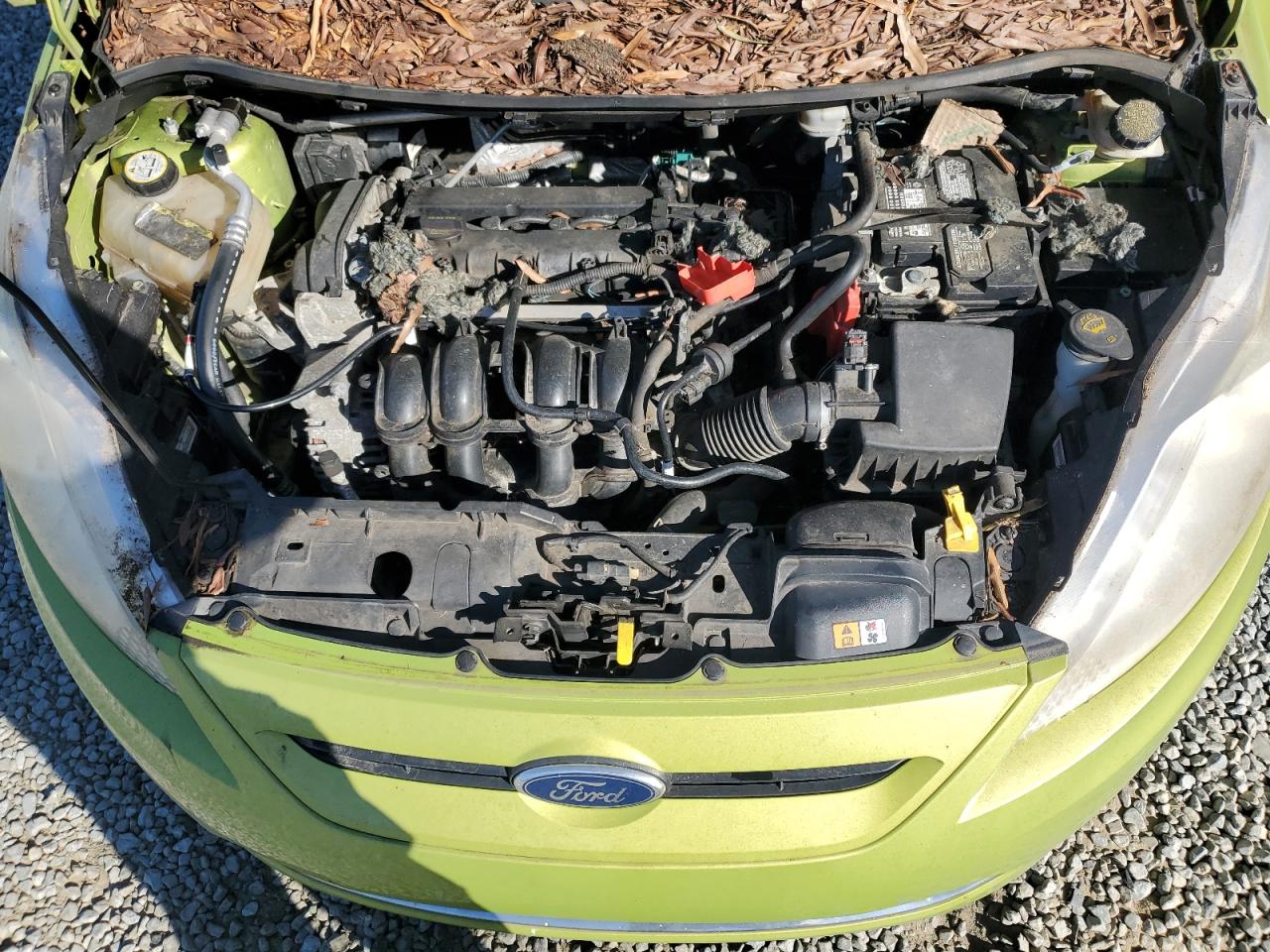 Ford Fiesta Se Image 10