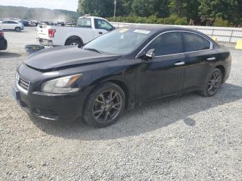  Salvage Nissan Maxima