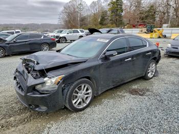  Salvage Nissan Maxima