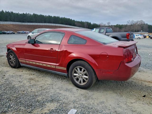 Ford Mustang Image 3