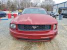 Ford Mustang Image 6