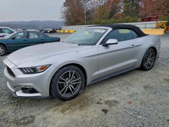  Salvage Ford Mustang
