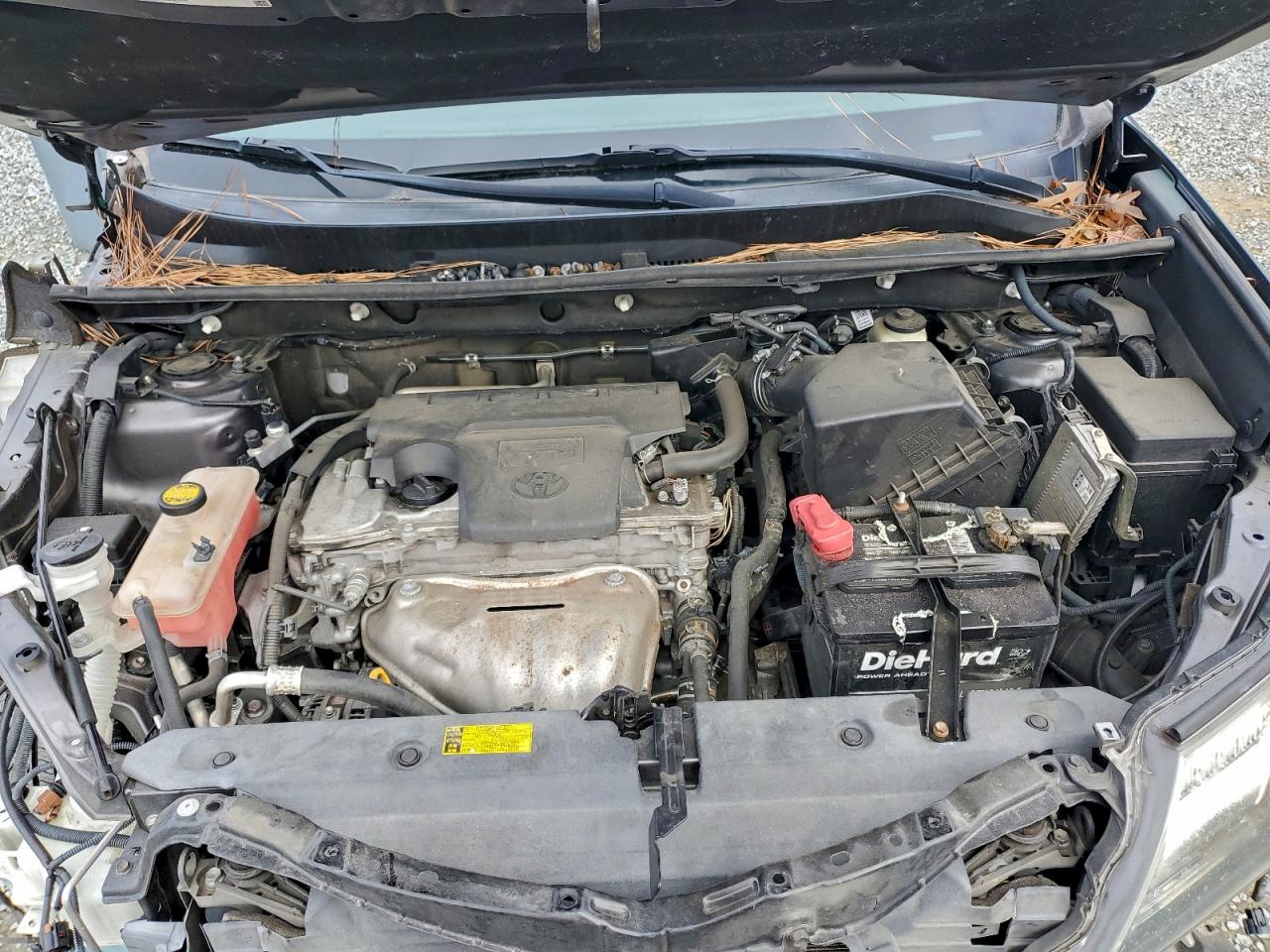 Toyota RAV4 Xle Image 7