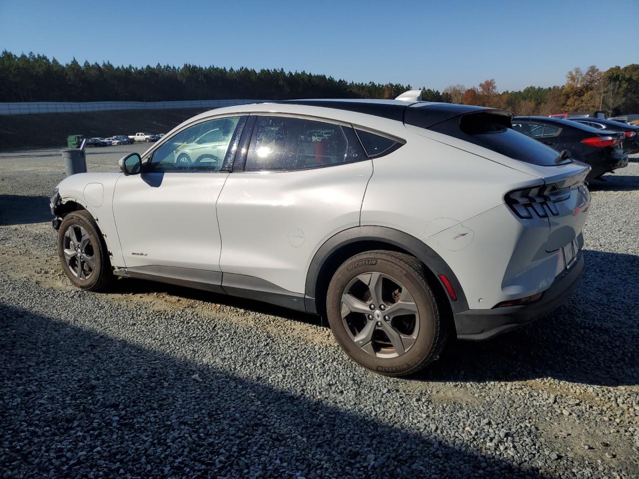 Ford Mustang Select Image 3