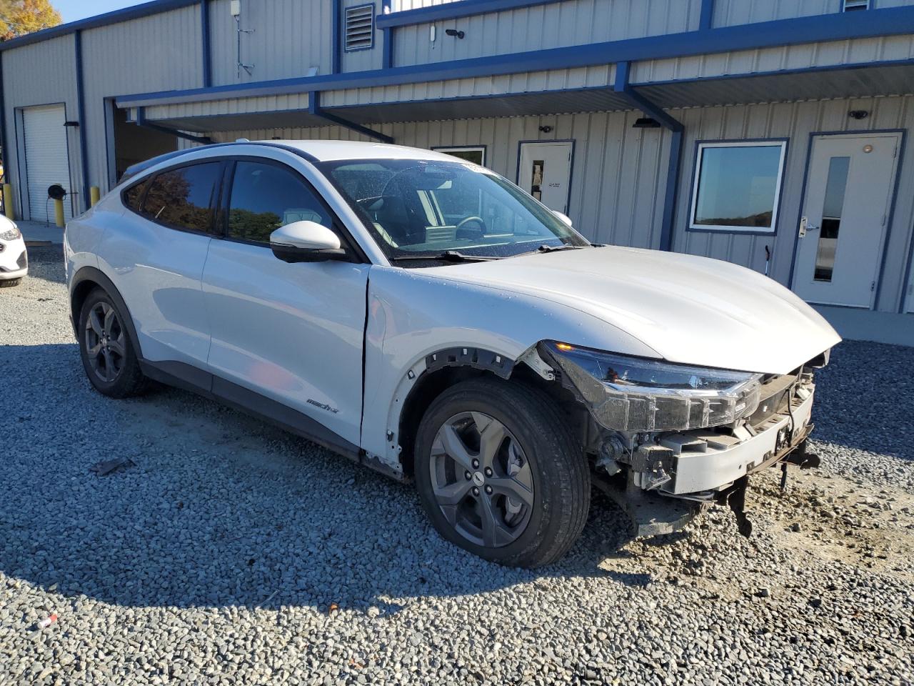 Ford Mustang Select Image 14