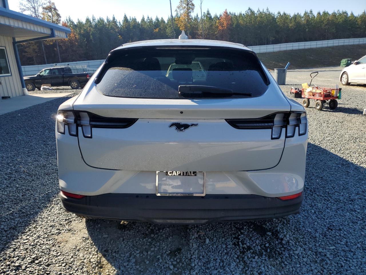 Ford Mustang Select Image 2