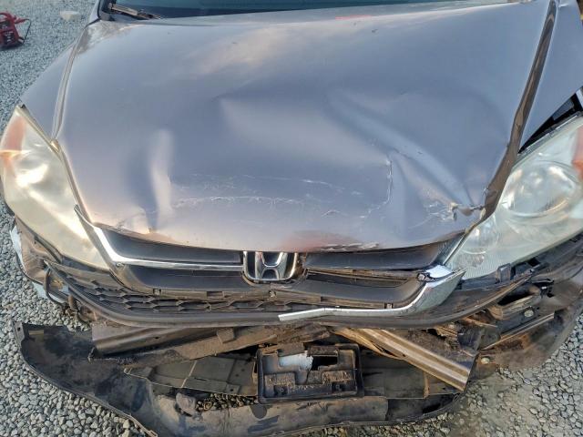 Honda Crv Lx Image 3