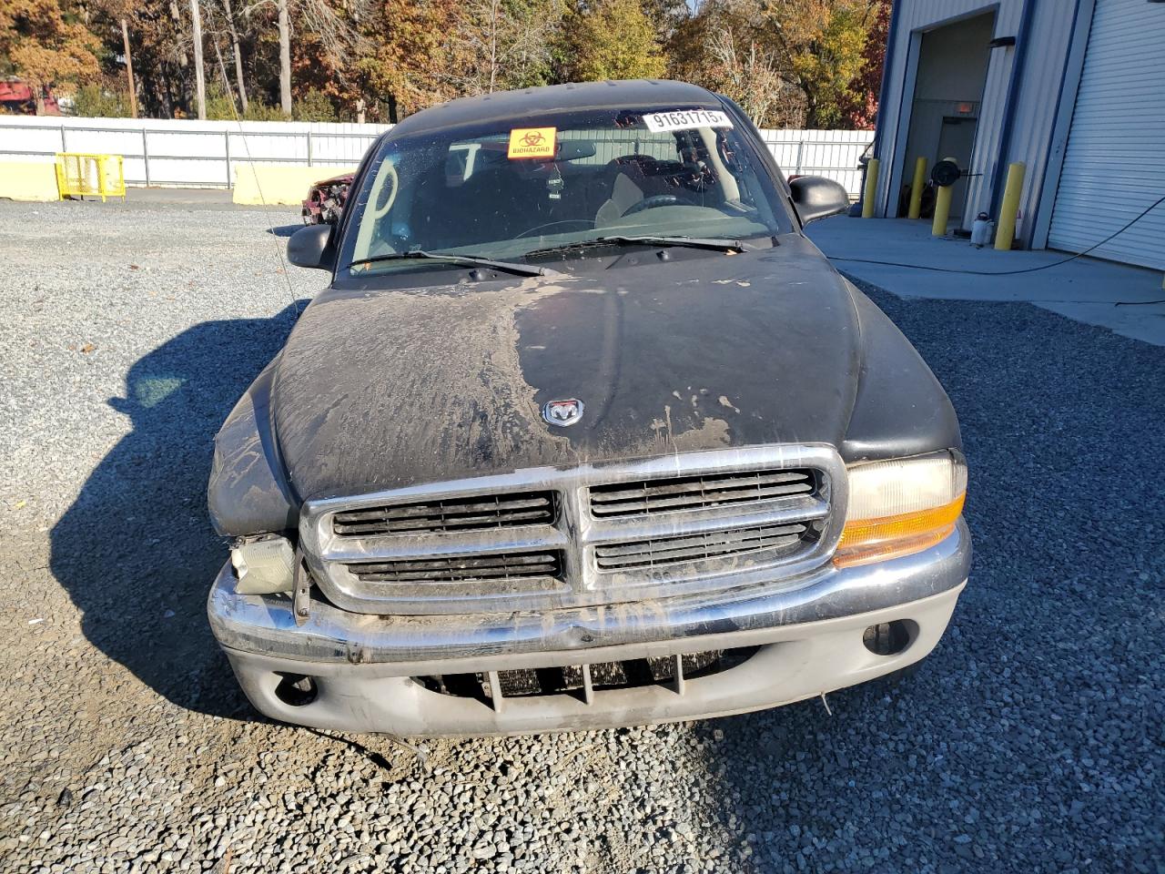 Dodge Dakota Quad Slt Image 11