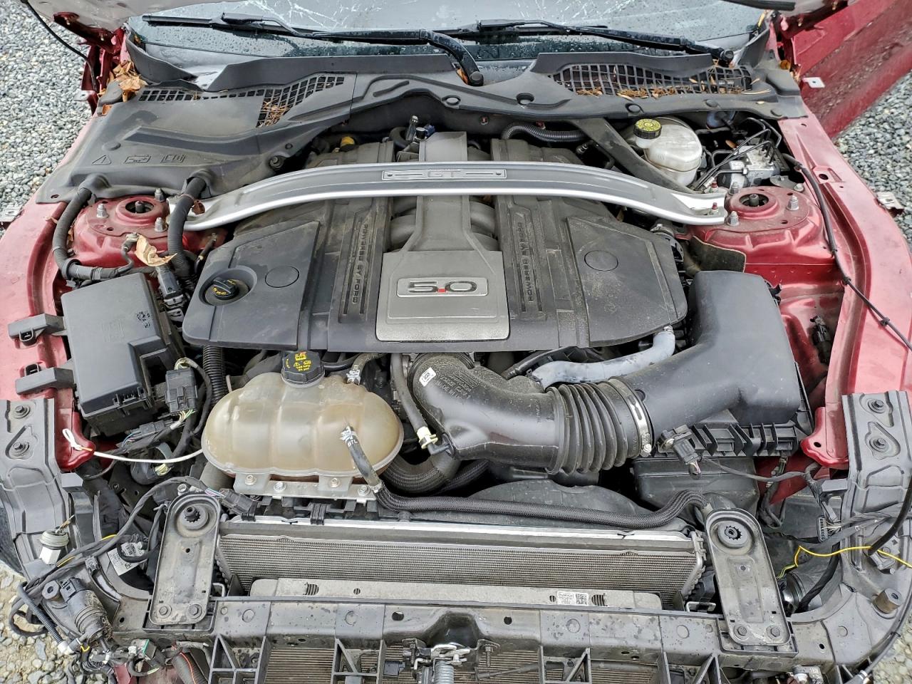 Ford Mustang Gt Image 9