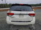 Honda Odyssey Exl Image 7